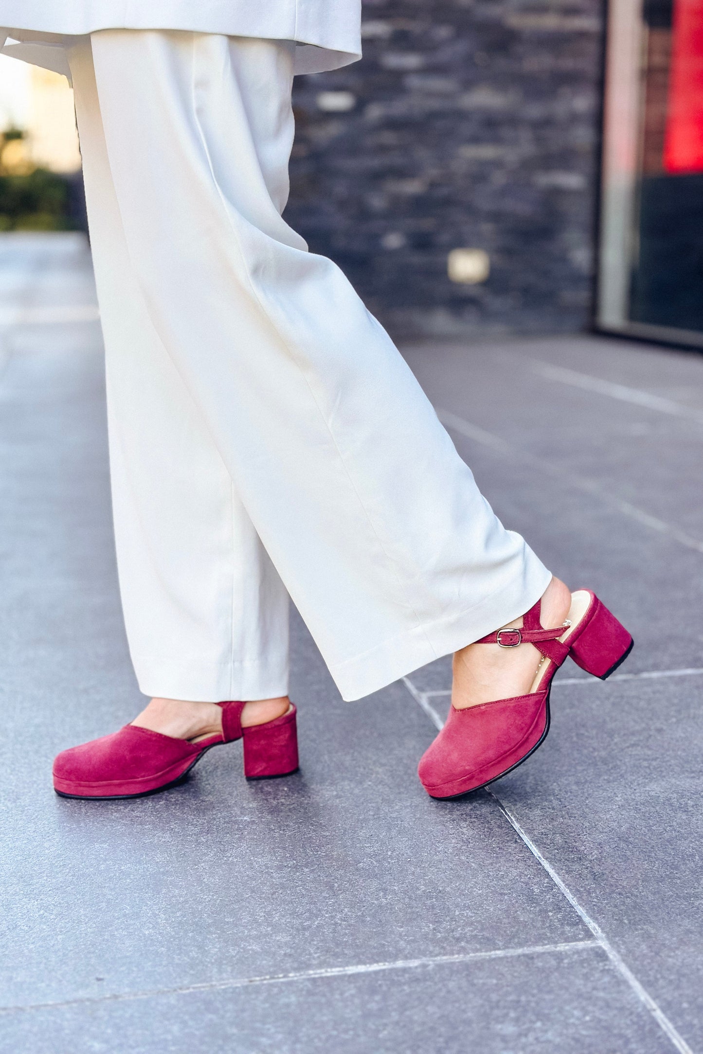 ZAPATO ISABEL BURDEO 1