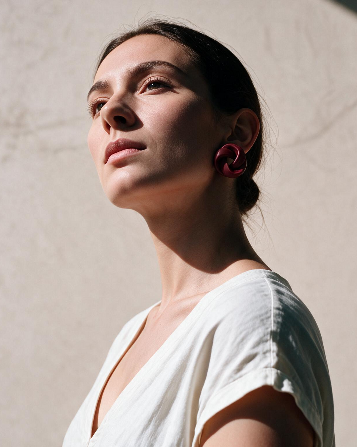AROS BURDEO 4