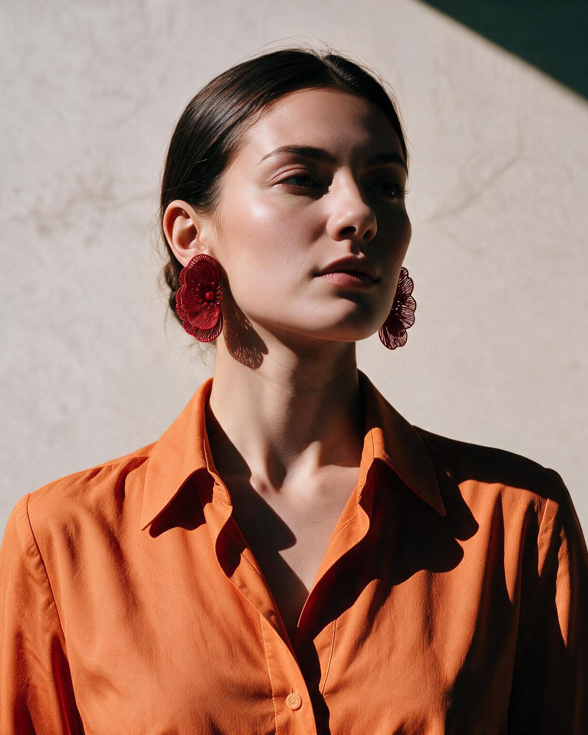 AROS ROJO 6