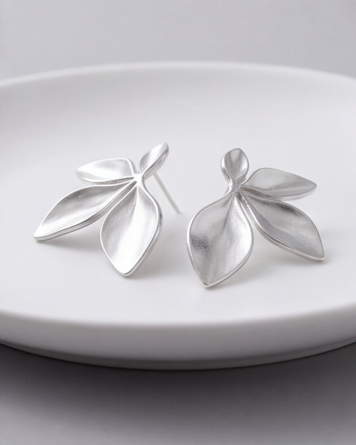 AROS PLATEADO 2