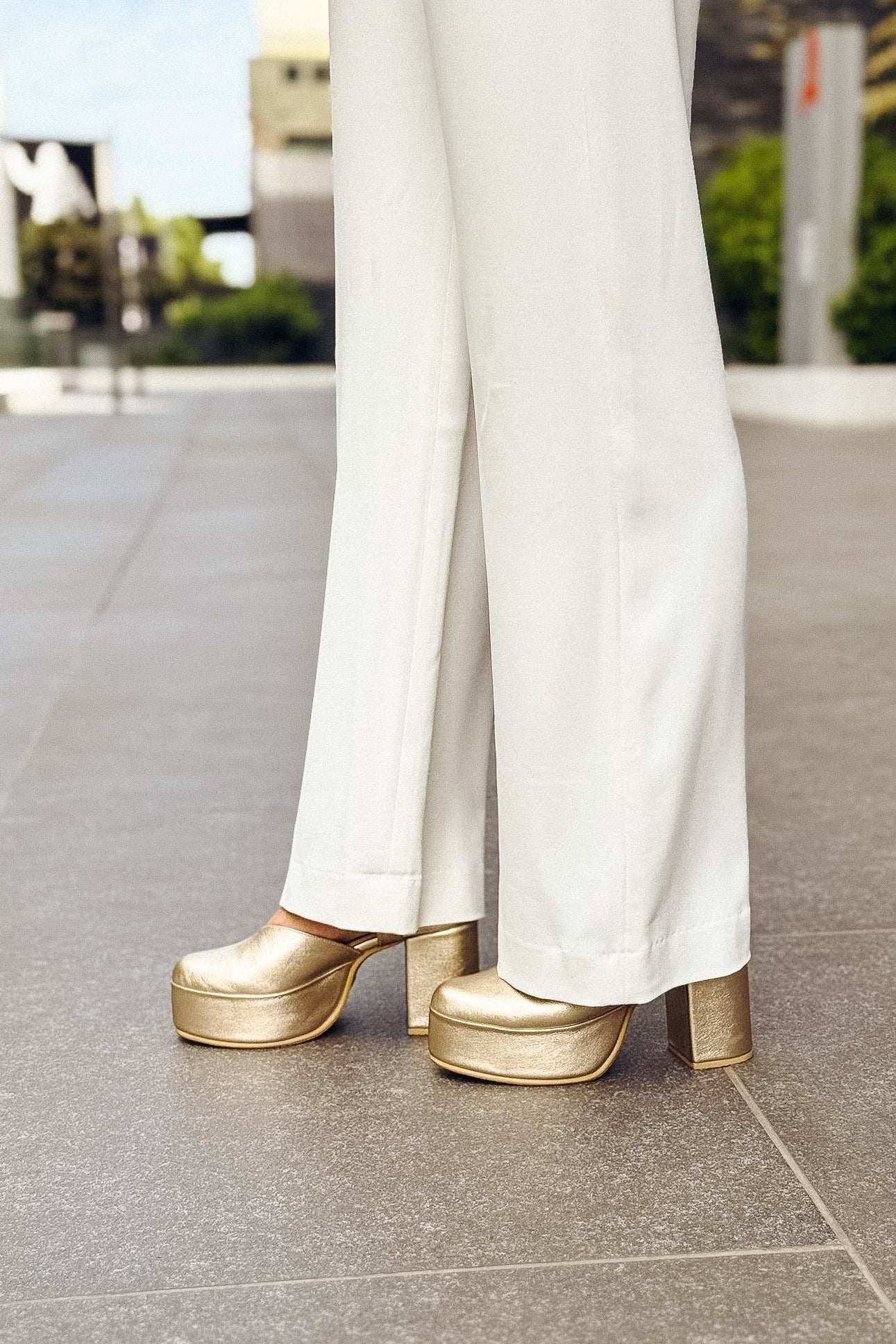 ZAPATO ISABEL NIQUEL 2