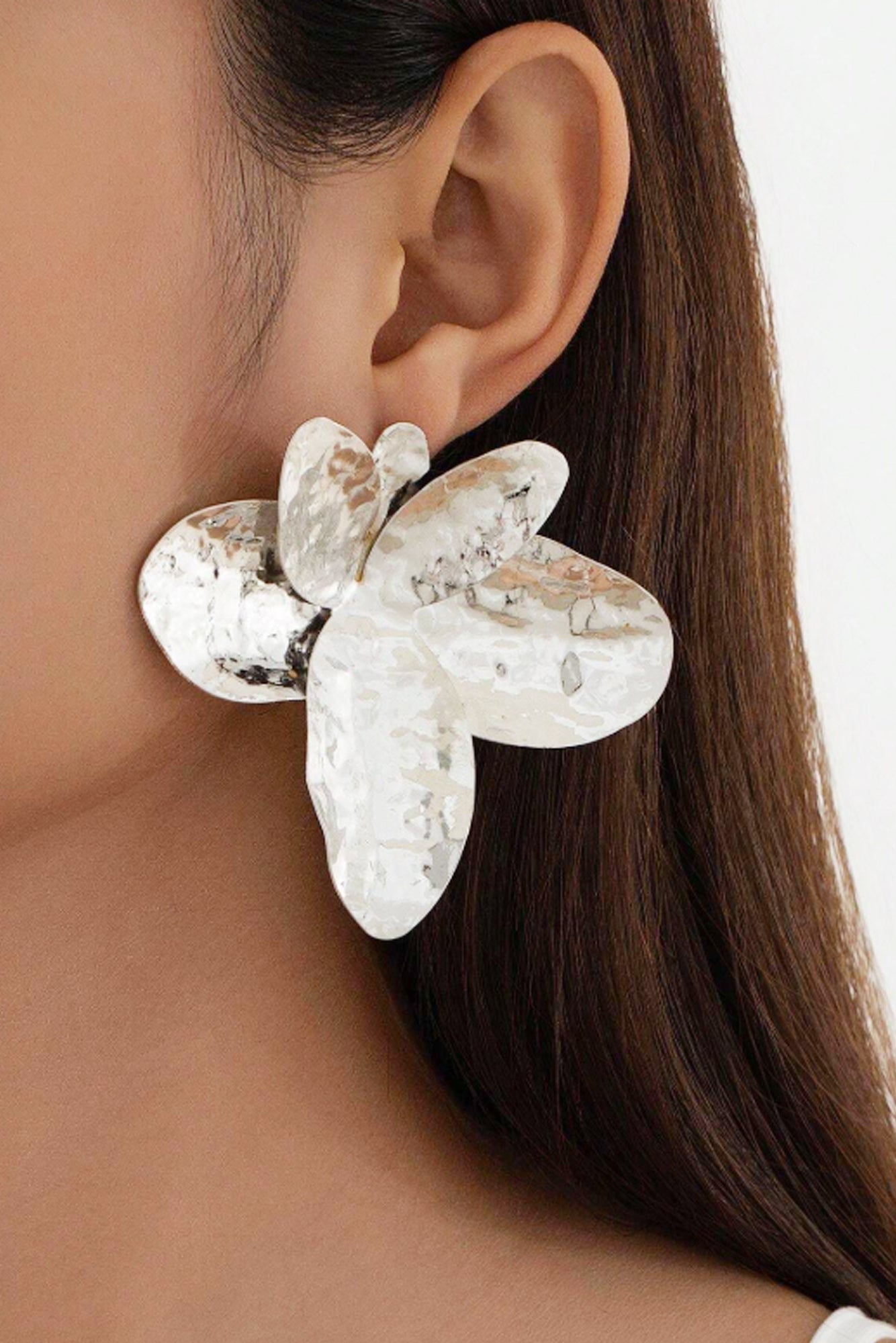 AROS PLATEADO 1